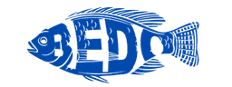 Bedo Fish